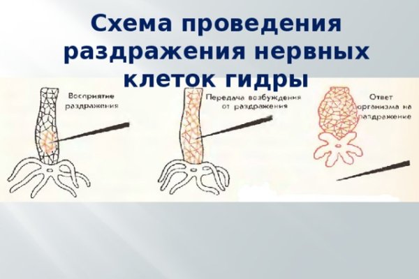 Как вернуть аккаунт кракен