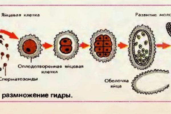Кракен зеркало 2