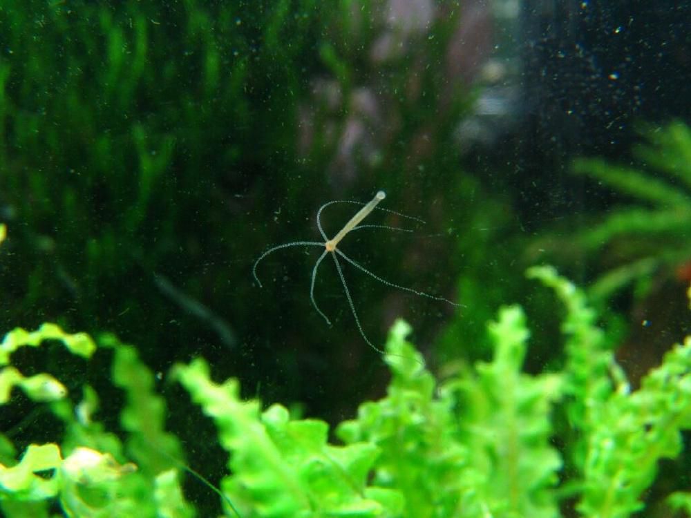 Кракен даркнет kraken link24 info