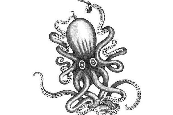 Kraken даркнет рынок ссылка